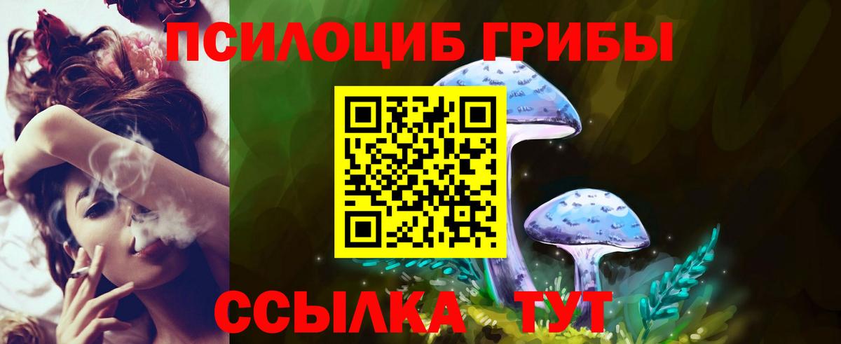 Галлюциногенные грибы Psilocybe  Вход с VPN  Мирный 